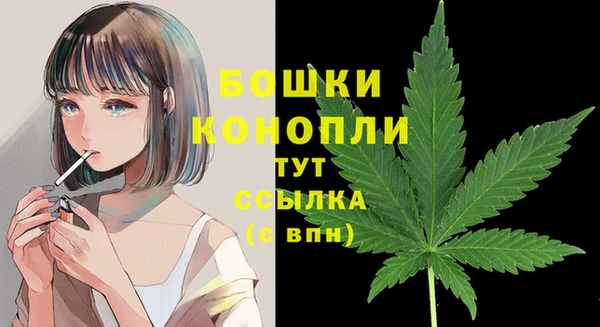 молекула духа Беломорск
