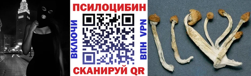 мориарти как зайти  Кировск  Галлюциногенные грибы мицелий  что такое  