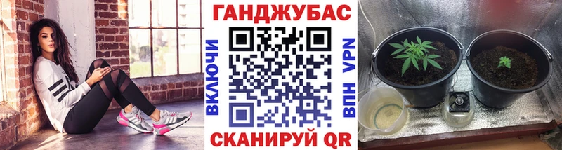 где купить наркотик  Кировск  omg ссылка  Марихуана OG Kush 